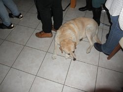 P9150090